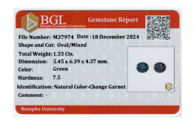 Gem Report