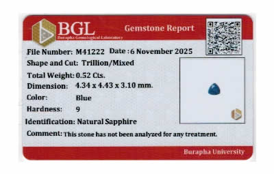 Gem Report