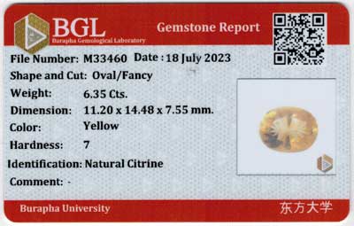 Gem Report