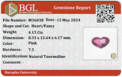 Gem Report