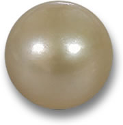 Perle dorée d'eau salée de culture