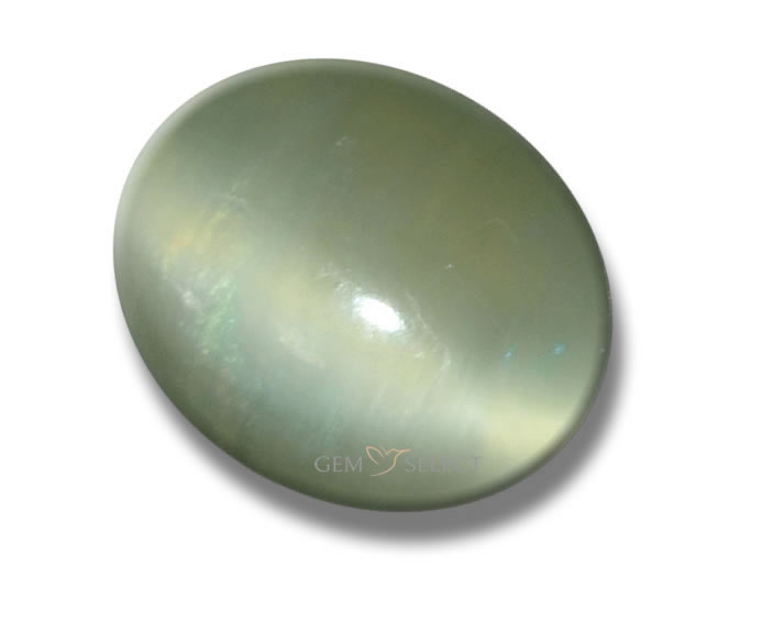 Actinolite Cat's Eye Gemstones de GemSelect - Grande image