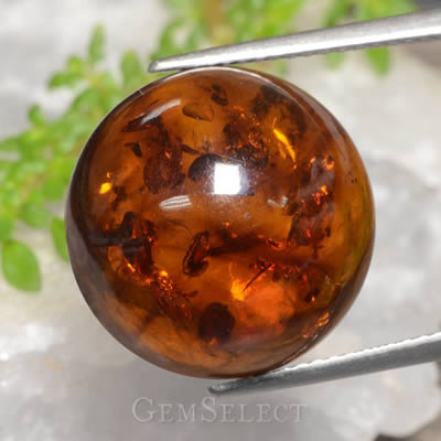 Cabochon Ambre avec Inclusions