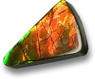 Pierre précieuse d'ammolite stabilisée