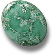 Cabochon Variscite Australien