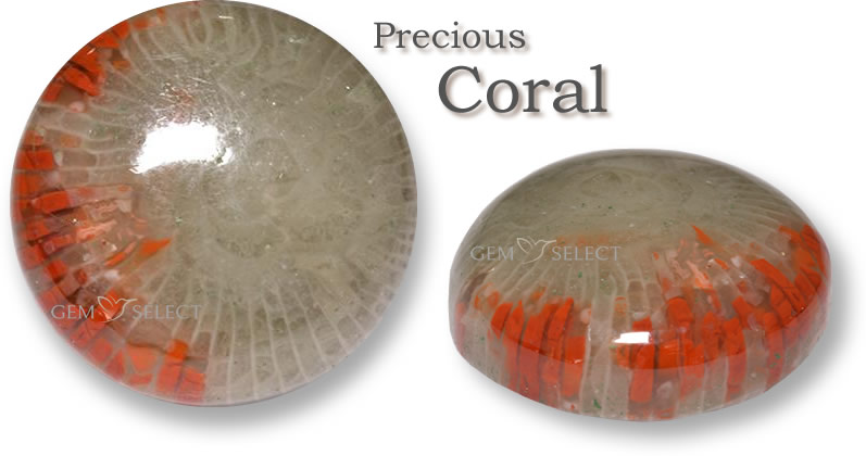 Achetez des pierres précieuses de corail pour Taureau sur GemSelect - Grande image