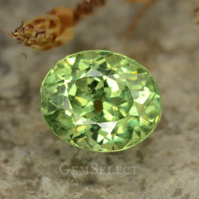 Gemme de grenat démantoïde avec inclusions naturelles