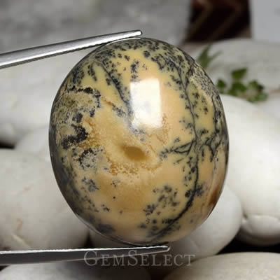 Cabochon Agate Dendritique