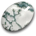 Agate dendritique multicolore Multicolor Dendritic Agate Cabochon