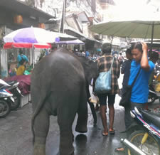 Gems Street - Marché international thaïlandais