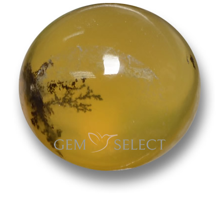 Pierres précieuses d'opale mousse de GemSelect - Grande image