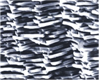 Image agrandie montrant la structure de la nacre