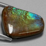 Ammolite de taille ordinaire