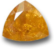 Faceted Scheelite Gemstone