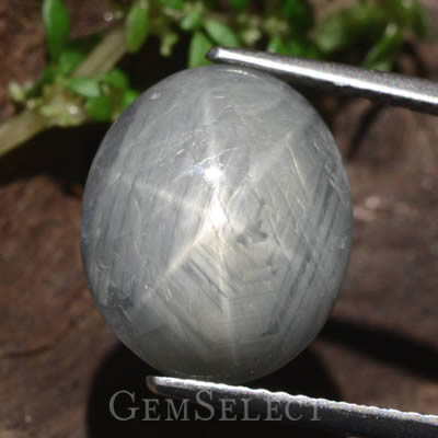 Saphir étoilé gris argenté montrant du rutile