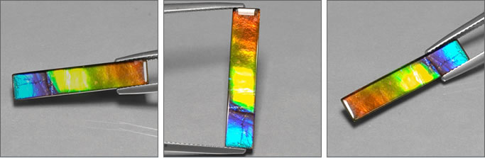 Ammolite d'Alberta, Canada