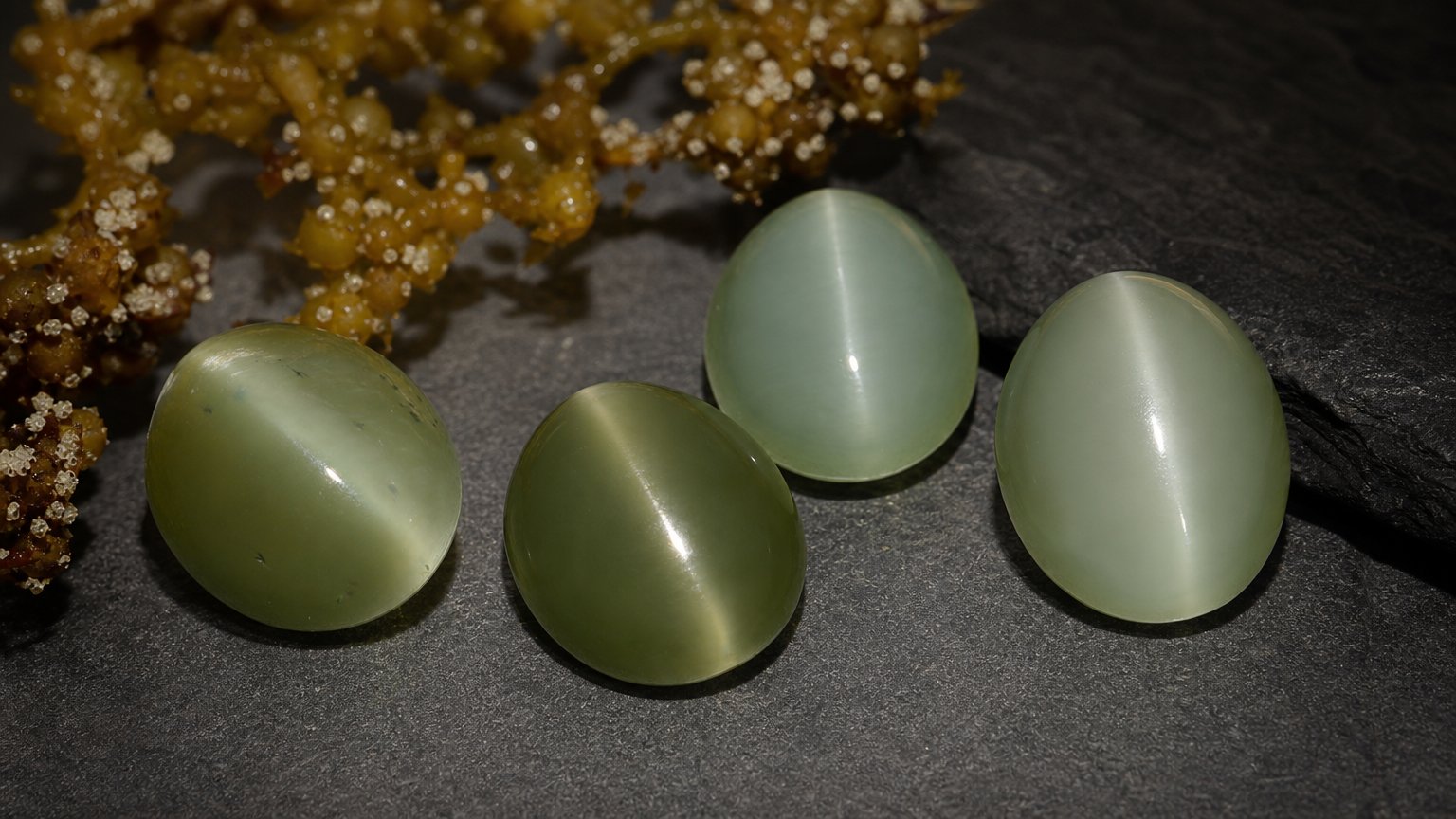 Actinolite naturelle œil-de-chat - guide d'achat