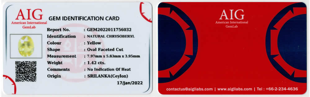 Bref rapport d'identification d'AIG GemLab