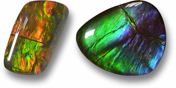 Ammolite en vrac à vendre