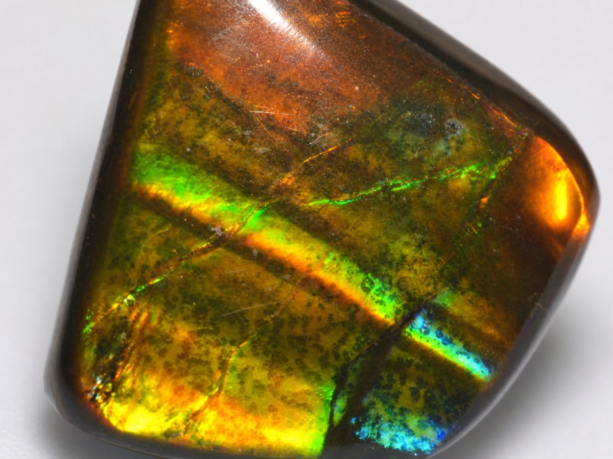 Gros plan sur des pierres précieuses d'ammolite naturelle