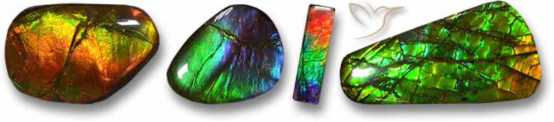Pierres précieuses d'ammolite
