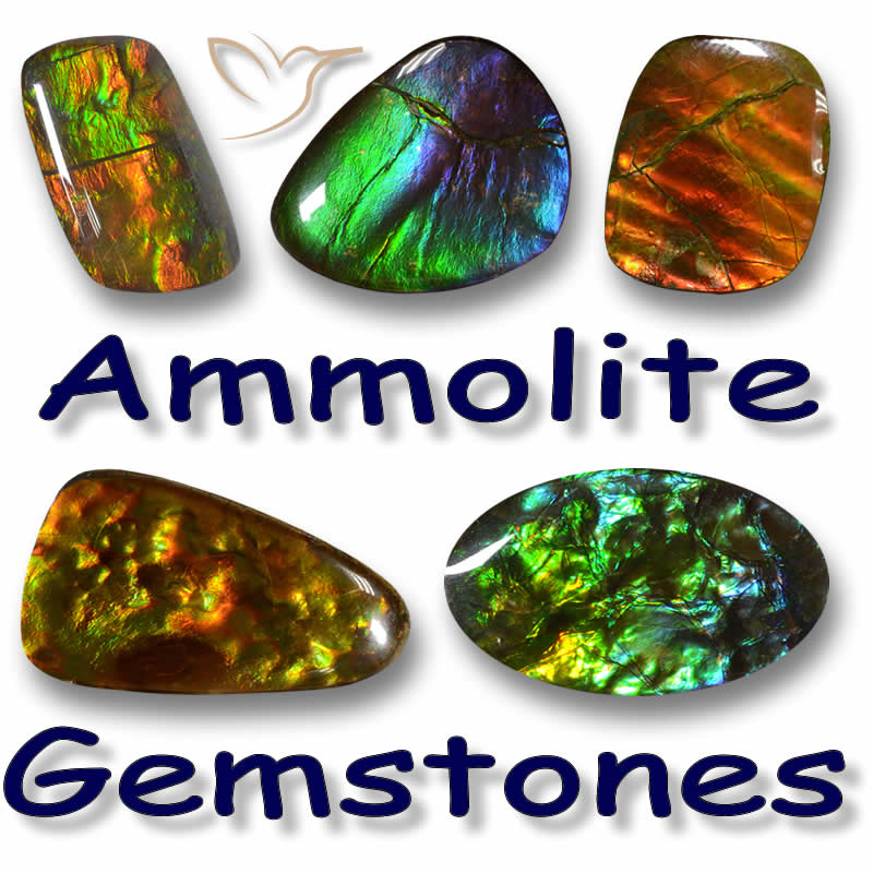 Ammolite Gemmes