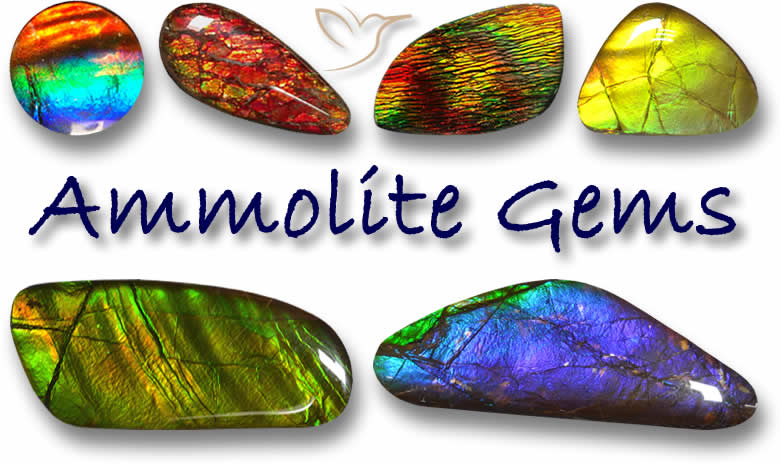 Acheter de l'Ammolite