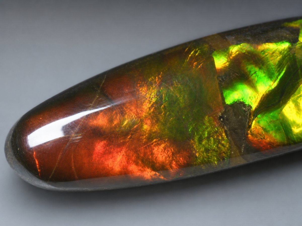 Gros plan sur des pierres précieuses d'ammolite naturelle
