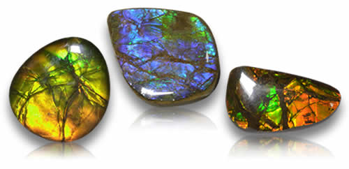 Pierres précieuses d'ammolite