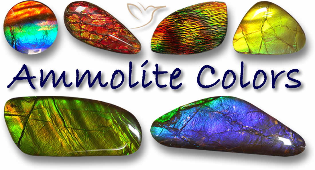 Acheter de l'Ammolite