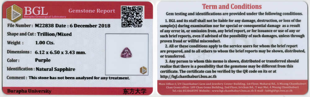 Bref rapport d'identification BGL