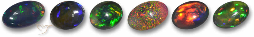 Gamme de couleurs Black Opal
