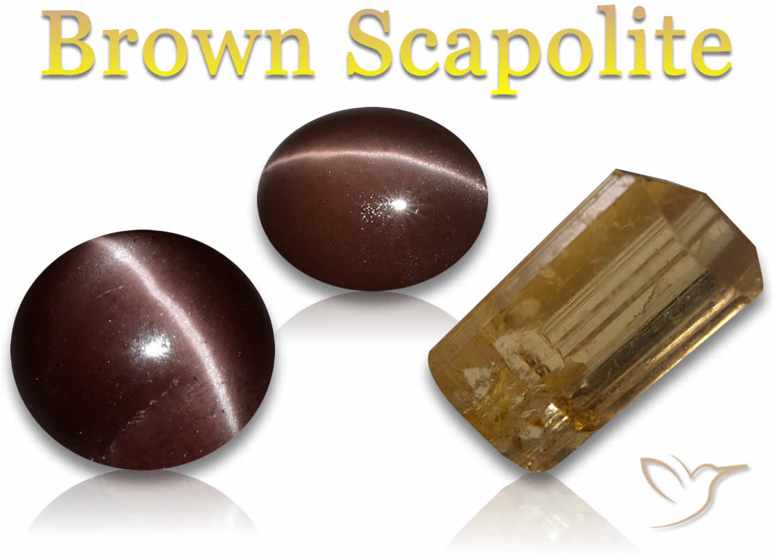 Acheter Scapolite Brune