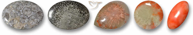 Pierres précieuses de corail