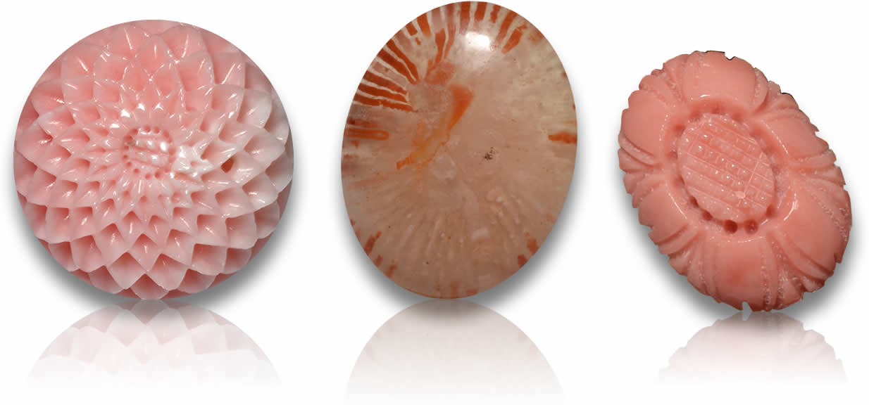 Pierres précieuses de corail pêche