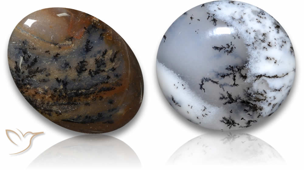 Pierres précieuses d'agate dendritique