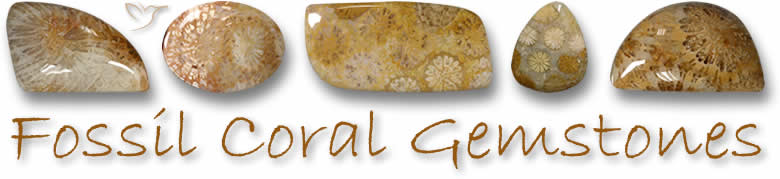 Pierres précieuses de corail fossile
