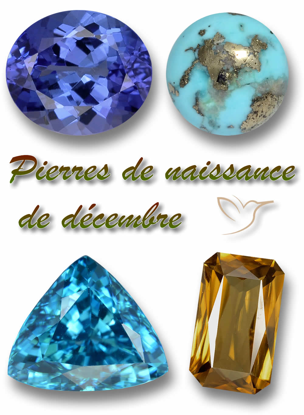 Pierres de naissance de décembre sur GemSelect