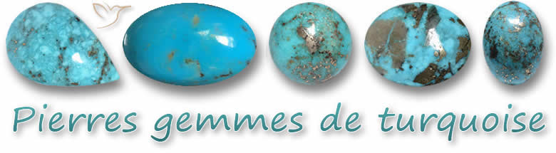 Pierres de naissance de turquoise sur GemSelect