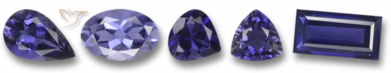 Iolite - 21e anniversaire