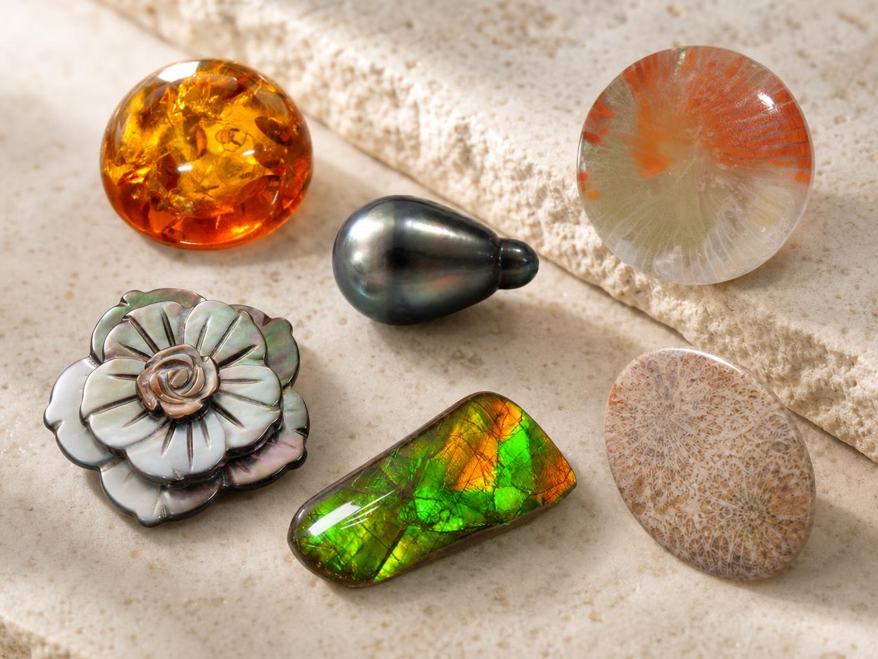 Assortiment de pierres précieuses organiques comprenant des perles, de l'ambre, du corail et des coquillages
