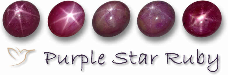 Pierres précieuses rubis étoilé violet