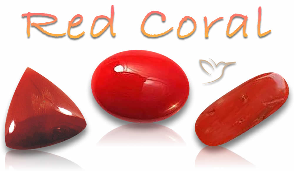 Acheter des pierres précieuses de corail rouge