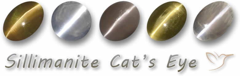 Achetez des pierres précieuses en œil de chat en sillimanite