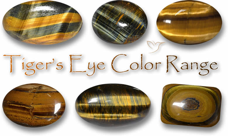 Gamme de couleurs des yeux de tigre