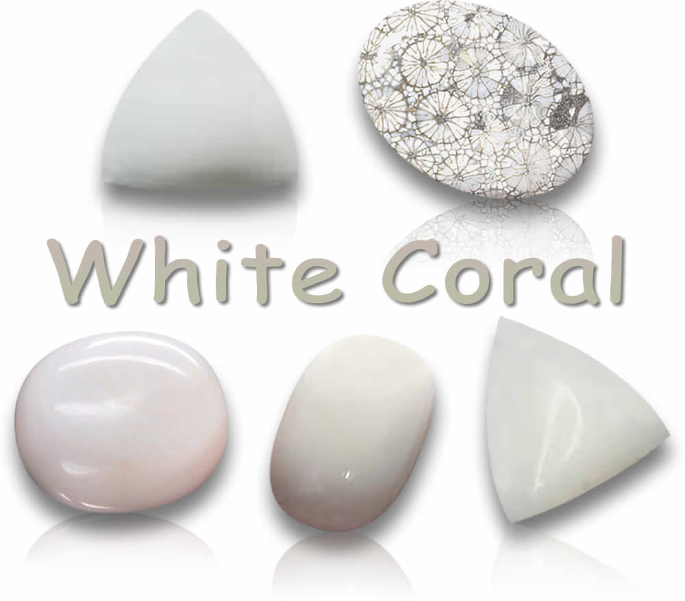 Pierres précieuses naturelles de corail blanc