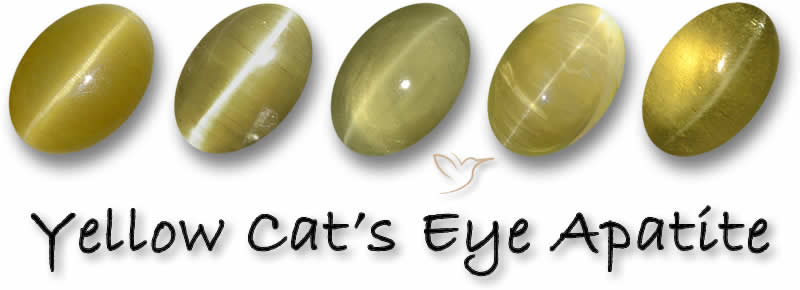 Acheter des pierres précieuses d'apatite œil de chat jaune