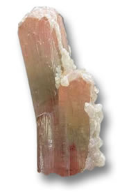 Tourmaline liddicoatite