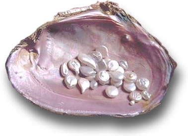 Coquille de perle du Tennessee