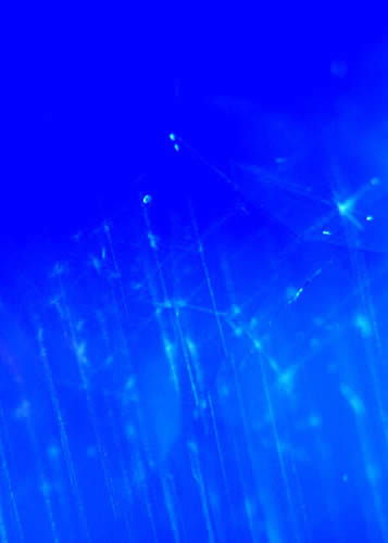 Inclusions de rutile dans le saphir naturel